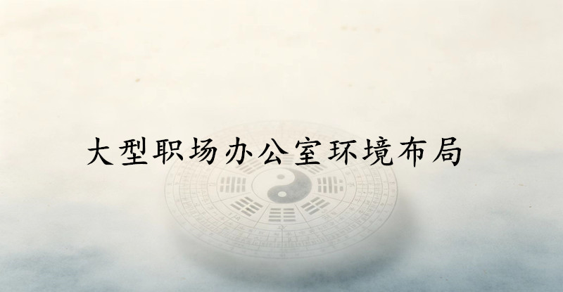 大型职场办公室环境布局