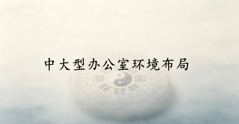 中大型办公室环境布局