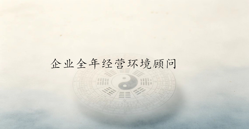 中小型企业全年经营环境策划顾问